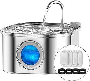 Water Fountain